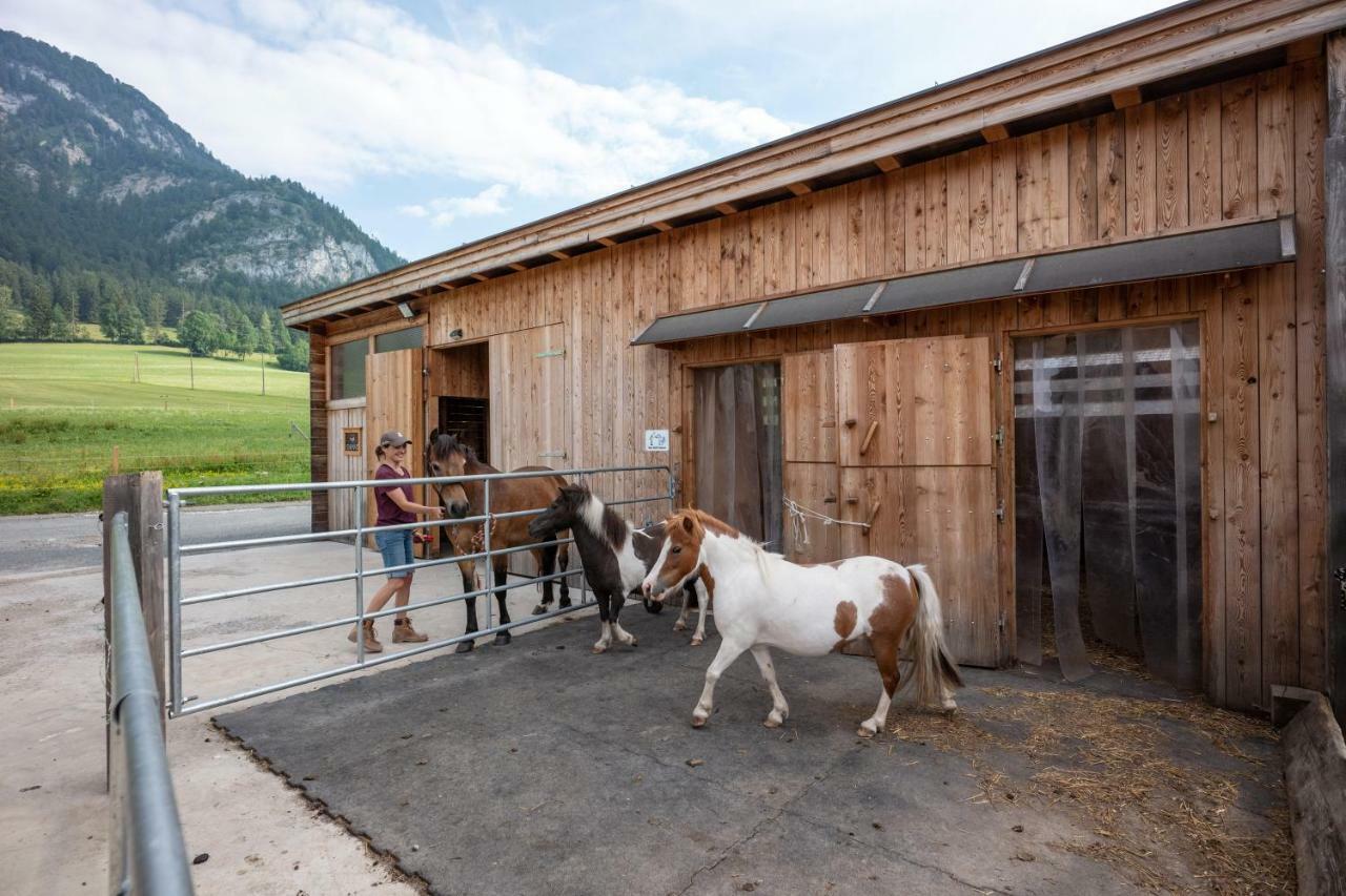 Narzenhof Wellness Chalets, Familien & Luxus Apartments Am Bauernhof Sankt Johann in Tirol Exterior photo