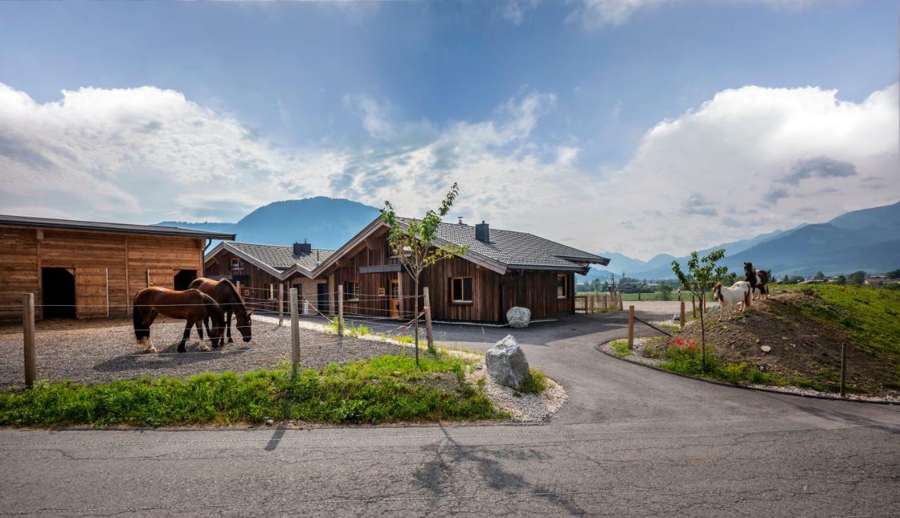 Narzenhof Wellness Chalets, Familien & Luxus Apartments Am Bauernhof Sankt Johann in Tirol Exterior photo