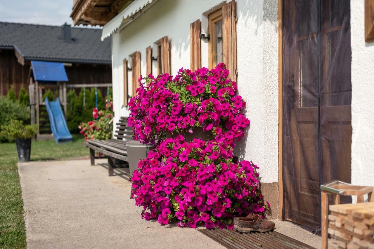 Narzenhof Wellness Chalets, Familien & Luxus Apartments Am Bauernhof Sankt Johann in Tirol Exterior photo